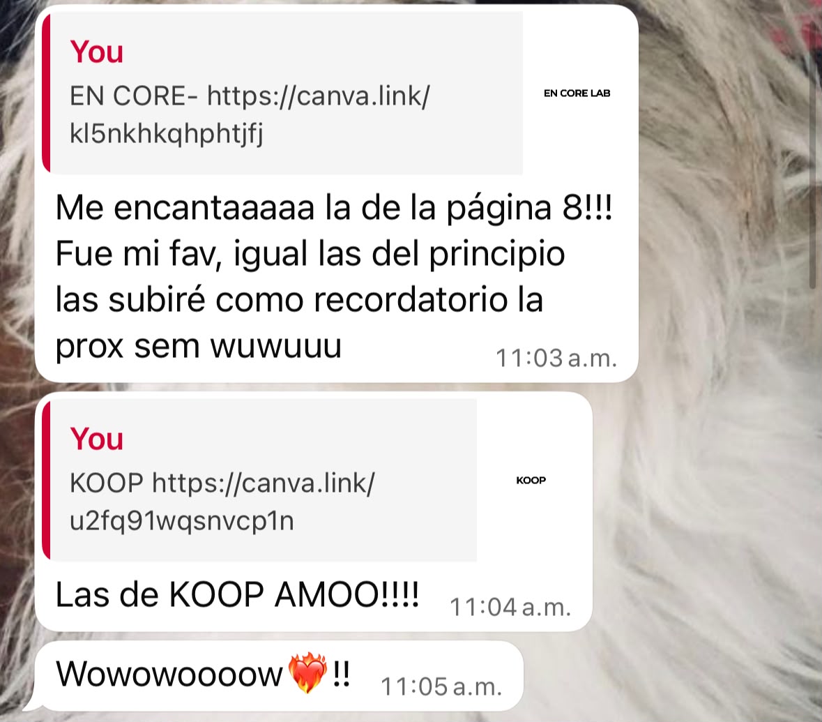 Reacción positiva a diseños para En Core y KOOP