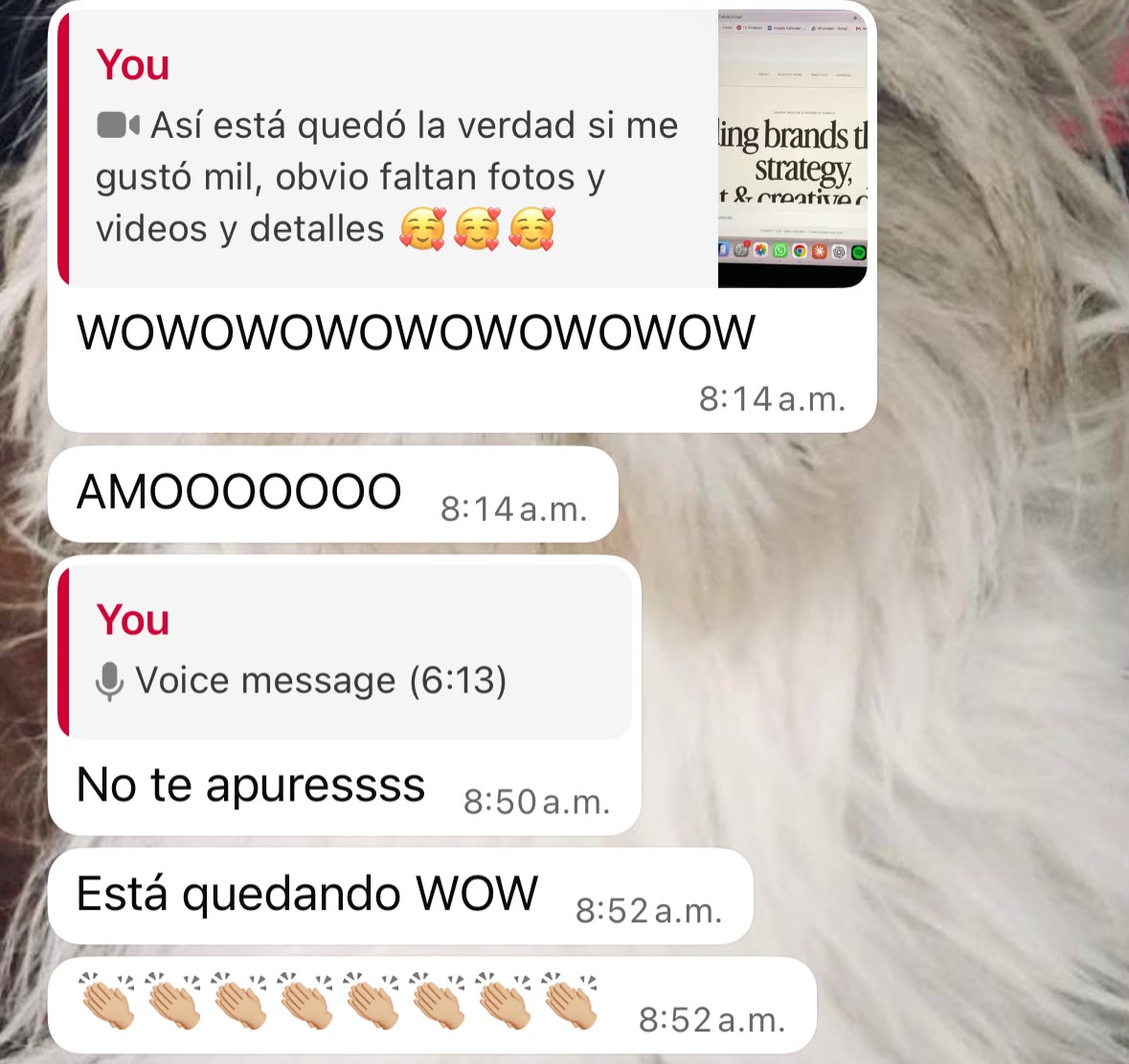 Reacción entusiasta al avance del portafolio